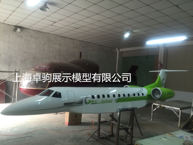 6米萊格賽650大型噴氣公務機模型